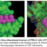 Figure 8: Representation of the three-dimensional structure of PfBrr2 with ATP.