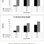 Figure 2: Reduction percentages of P. oleracea root and shoot length under the different concentrations of R. epapposum and S. imbricata aqueous extract.