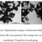 Figure 1: TEM analysis. Representative images of observation fields where ZnO micro (A) and nanoparticles (B) were measured. The average size was determined by considering 370 particles for each group.