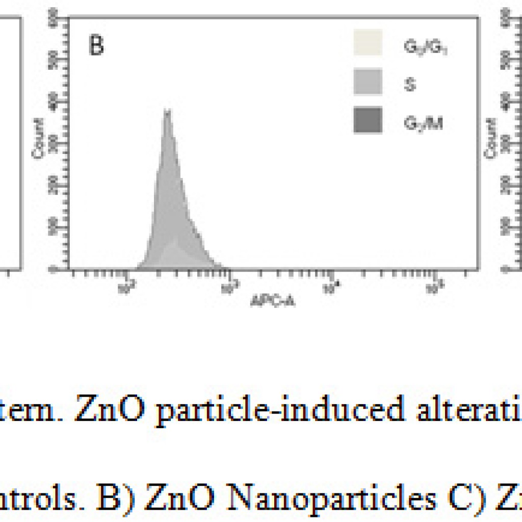 Effect of ZnO Nanoparticles on Human Bone Marrow Mesenchymal Stem Cells ...