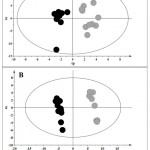 Figure 5: A) OPLS-DA of cells treated with ZnO microparticles (black) compared with control samples (grey).