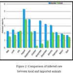 Figure 2: Comparison of infected rate between local and imported animals