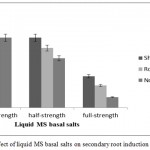 Figure 6: Effect of liquid MS basal salts on secondary root induction of C. guianensis.