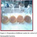 Figure 4: Preparation of different media for culture of thermophilic bacteria.