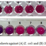 Figure 4: The MICs of GO nanosheets against (A) E. coli and (B) S. aureus. 