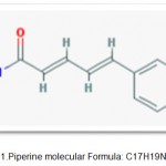 Figure 1: Piperine molecular Formula‎: ‎C17H19NO3.
