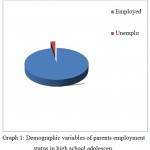 Graph 1: Demographic variables of parents employment status in high school adolescen.