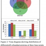 Figure 2: Venn diagram showing distribution of differentially abundant proteins at three time points (A) and bar chart depicting up and down accumulated proteins at three time points (B).