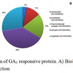 Figure 3: Functional categorization of GA3 responsive protein. A) Biological process B) Cellular process C) Molecular function.