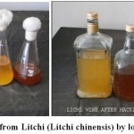 Figure 4: Wine produced from Litchi (Litchi chinensis) by local isolated strain of yeast.