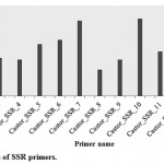 Figure 1: PIC values of SSR primers.