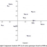 Figure 3: 2-D plot of Principle Component Analysis (PCA) of castor genotypes based on SSR markers.