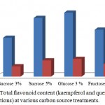 Figure 3: Total flavonoid content (kaempferol and quercetin concentrations) at various carbon source treatments.