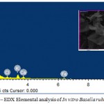 Figure 5: SEM–EDX Elemental analysis of In vitro Basella rubra L.