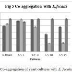 Figure 5: Co-aggregation of yeast cultures with E. fecalis.