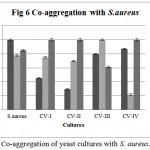 Figure 6: Co-aggregation of yeast cultures with S. aureus.