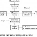 Figure 1: Proposed scheme for the use of mangaba residue.