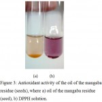 Figure 3: Antioxidant activity of the oil of the mangaba residue (seeds), where a) oil of the mangaba residue (seed), b) DPPH solution.