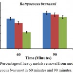 Figure 1: Percentage of heavy metals removal from media culture of Botryococus brurauni in 60 minutes and 90 minutes.