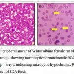 Figure 1: Peripheral smear of Wistar albino female rat blood – 1A Control group - showing normocytic normochromic RBCs and 1B Test group – arrow indicating microcytic hypochromic RBCs due to effect of IDA feed.