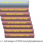 Figure 2: Advantages of NDS based phytopharmaceuticals.