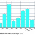 Figure 1: Antibiotics resistance among E. coli.