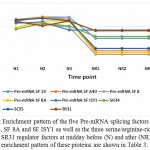 Figure 10: Enrichment pattern of the five Pre-mRNA splicing factors SF19, SF A40, SF 8, SF 8A and SF ISY1 as well as the three serine/arginine-rich SR34, SC35 and SR31 regulator factors at midday before (N) and after (NR) watering. Details of enrichment pattern of these proteins are shown in Table 3.