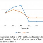 Figure 9: Enrichment pattern of SAC1 and SAC6 at midday before (N) and after (NR) watering. Details of enrichment pattern of these proteins are shown in Table 3.