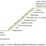 Figure 4: Factors effecting pullulan production in industry.