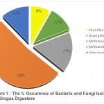 Figure 1 : The % Occurence of Bacteria and Fungi Isolated from the Biogas Digesters.
