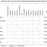 Table 1: Isolation and Characterization of Bacterial Isolates from the Biogas Digesters.