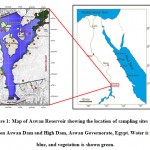 Figure 1: Map of Aswan Reservoir showing the location of sampling sites (red) between Aswan Dam and High Dam, Aswan Governorate, Egypt. Water is shown blue, and vegetation is shown green.