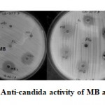 Figure 1: Anti-candida activity of MB and MB2