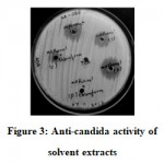 Figure 3: Anti-candida activity of solvent extracts