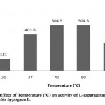 Figure 4: Effect of Temperature (°C) on Activity of L-Asparaginase Obtained from Arachis Hypogaca L.