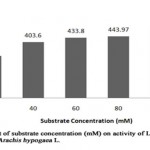 Figure 5: Effect of Substrate Concentration (Mm) on Activity of L-Asparaginase Obtained from Arachis Hypogaca L.
