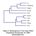 Figure 2: Dendrogram of Ten Naga Tribal populations on diversity for ABO polymorphic loci