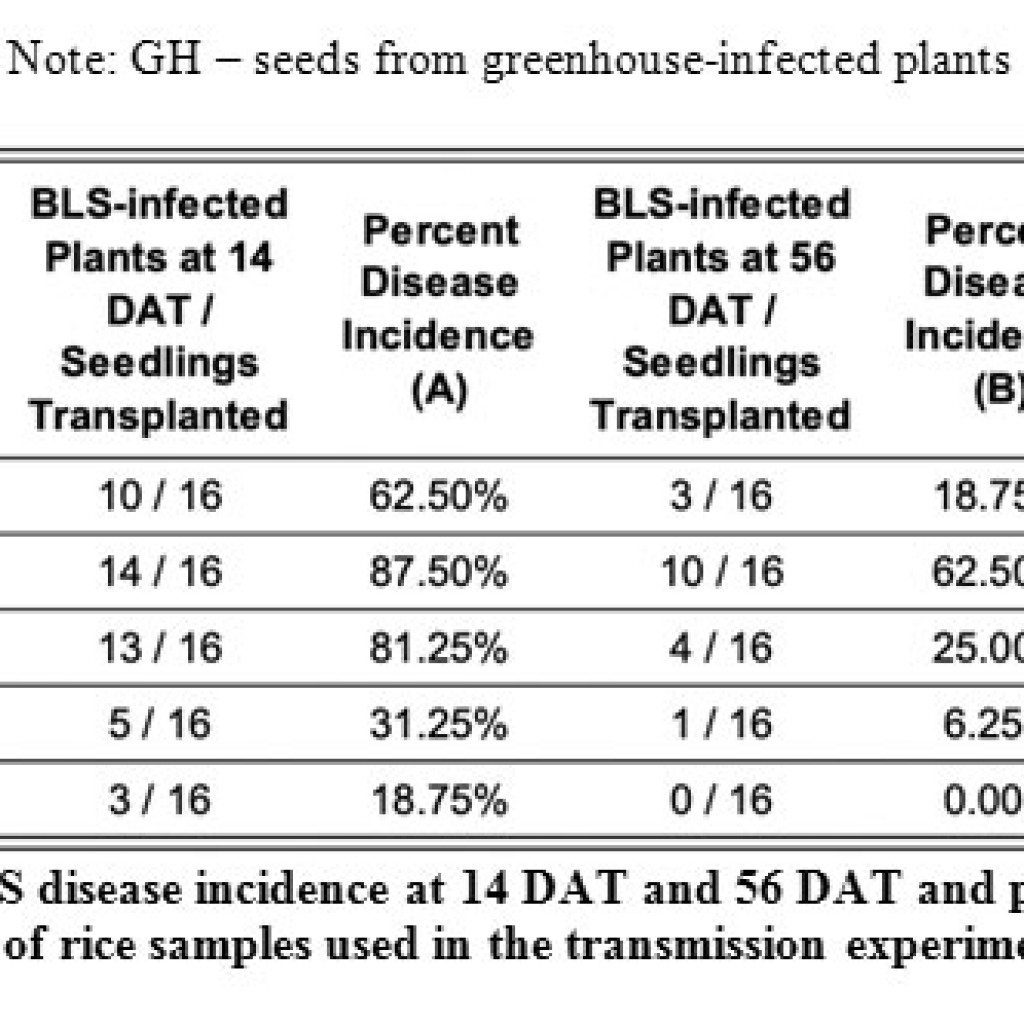 Rapid Molecular Detection and Transmission of Bacterial Leaf Streak ...