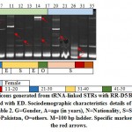 Figure 4: Amplicons generated from tRNA-linked STRs with RR-D5/RR-D3 primers for subjects infected with ED. Sociodemographic characteristics details of different subjects are shown in Table 2. G=Gender, A=age (in years), N=Nationality, S=Saudi, E=Egyptian, Y=Yemeni, Pa=Pakistan, O=others. M=100 bp ladder. Specific markers are indicated by the red arrows.