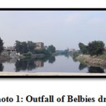 Photo 1: Outfall of Belbies drain