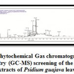 Photo 2: Phytochemical Gas chromatography-mass spectrometry (GC-MS)