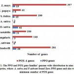 Figure 1: The PPO and POX gene families’ genome wide distribution