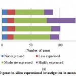Figure 4(a): PPO genes in-silico expressional investigation in monocot plant species 