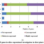 Figure 5(b): POX genes in-silico expressional investigation in dicot plant species