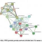 Figure 6(b): PPO protein-protein network divided into 9 k-means clusters