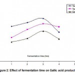 Figure 2: Effect of fermentation time on Gallic acid production