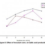 Figure 6: Effect of Inoculum conc. on Gallic acid production