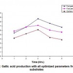 Figure 7: Gallic acid production with all optimized parameters from three substrates