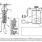 Figure 1: Schematic process set up of Fluidized bed bioreactor (FBR) and Stirred tank reactor (STR) for the production