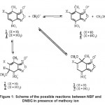 Figure 1: Scheme of the possible reactions between NBF and DNBG in presence of methoxy ion